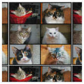 Katten Katten Stof (Close Up)