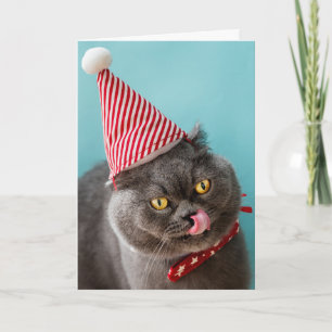 Katten Kerst Humor Kaart
