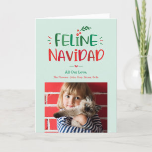 Katten Kerstmis Gevouwen Huisdier Kerst Vakantieka Feestdagen Kaart