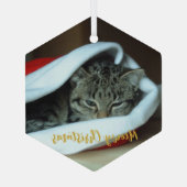 Katten Kerstmis Glas Ornament (Achterkant)