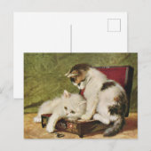 Katten Kitten Illustration Art Briefkaart (Voorkant / Achterkant)
