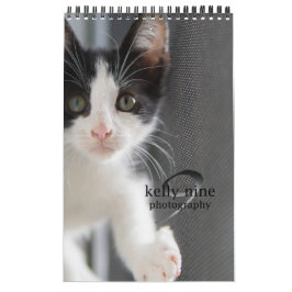 Katten & Kittens door Kelly Nine Fotografie Kalender