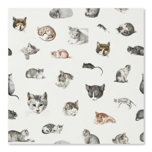 Katten Kittens Muizen Kat Lady Chinoiserie Toile Behang
