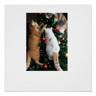 Katten klimmen in kerstboom  perfect poster