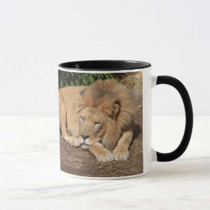 Katten Koffiekoffie-Mok Mok
