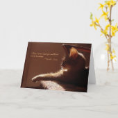 Katten komen en gaan Kaarten (Gele Bloem)