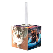 Katten Kubus Ornament (Achter hoekig)
