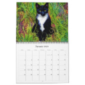 Katten Kunstfotografie Kalender (Jan 2026)