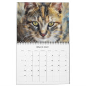 Katten Kunstfotografie Kalender (Mar 2026)