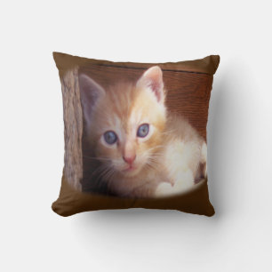 Katten Kussen
