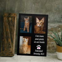 Katten laten pauwafdrukken | Cat Memorial Photo Co