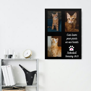 Katten laten pauwafdrukken Cat Memorial Photo Co Poster