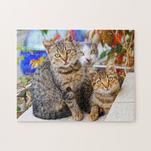 katten legpuzzel (Horizontaal)