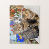 katten legpuzzel (Verticaal)