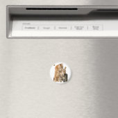 Katten Magneet (Insitu (Vaatwasser))