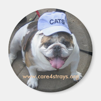 KATTEN Magneet: Magneet