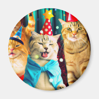 Katten Magnet, Kattenfeest, Dierenliefde Magneet