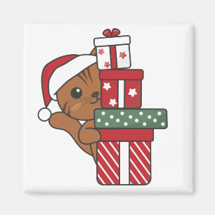 Katten Magnet Magneet