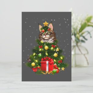Katten Maine Coon Katten Kerstboom Lichtjes Katten Kaart
