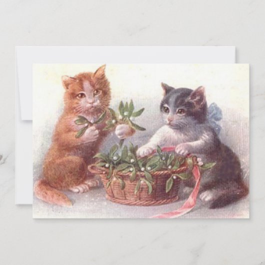 Katten & Maretak (Voorkant)