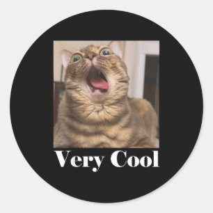 Katten Meme Grafisch Domme Kat Humor Grappige Kat  Ronde Sticker