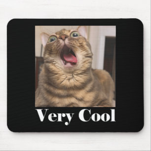 Katten Meme Grafisch Domme Katten Humor Grappige K Muismat