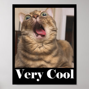 Katten Meme Grafisch Domme Katten Humor Grappige K Poster
