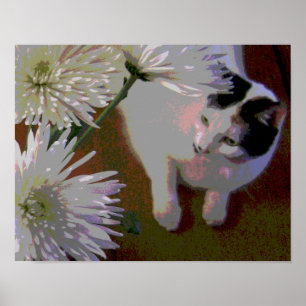 Katten met chrysanten kunstdruk poster