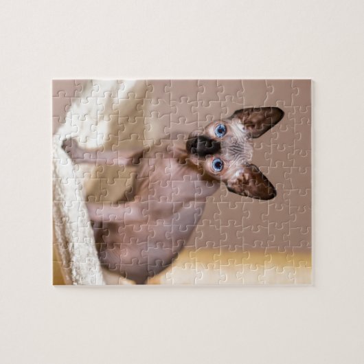 Katten met jonge kleurpunthynx in hammock.JPG Legpuzzel (Horizontaal)