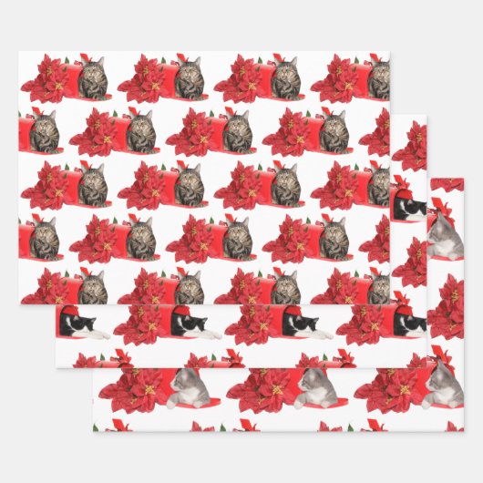 Katten met kerstpostbus inpakpapier vel (Set)