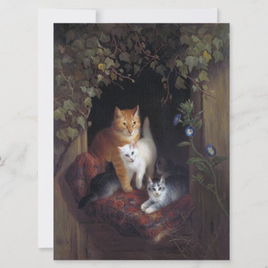 Katten met Kittens Gefeliciteerd (Voorkant)