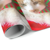 Katten met muffler en Santa hat Cadeaupapier (Rol Hoek)