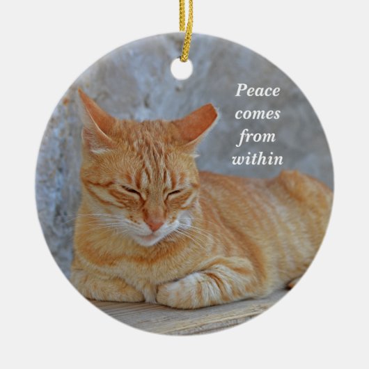 Katten met tabby die rusten in het Inspirerend van Keramisch Ornament (Voorkant)