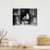 Katten met zonnebril, zwart en wit  poster (Keuken)