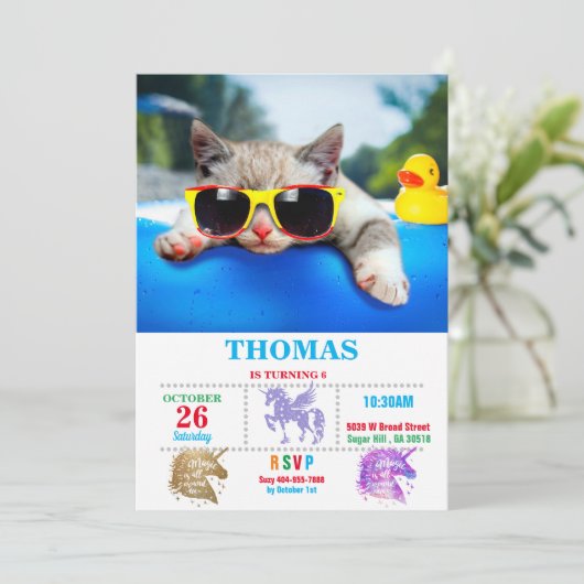 Katten met zonnebrillen die ontspannen zijn op luc kaart (Staand voorkant)