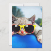 Katten met zonnebrillen die ontspannen zijn op luc kaart (Achterkant)