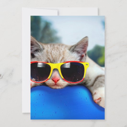 Katten met zonnebrillen die ontspannen zijn op luc kaart (Achterkant)