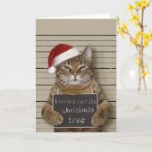 Katten Mugshot Kerstmis Kaart (Gele Bloem)