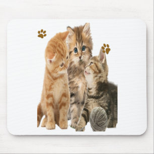 Katten Muismat