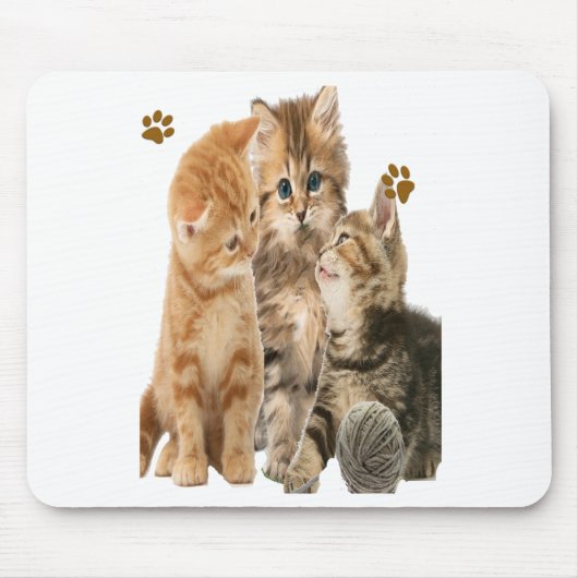 Katten Muismat (Voorkant)