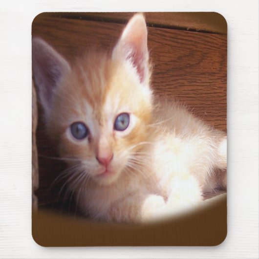 Katten Muismat (Voorkant)