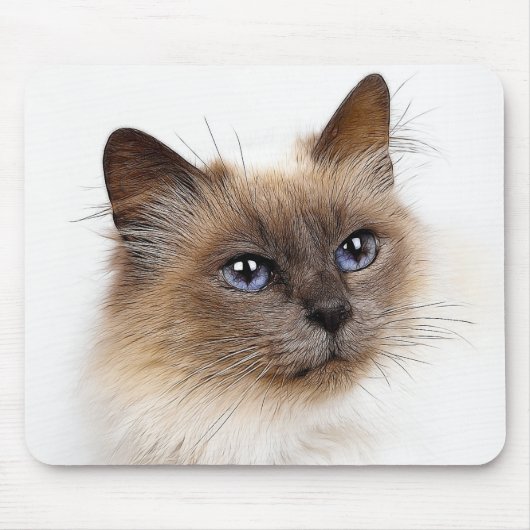 KATTEN MUISMAT (Voorkant)
