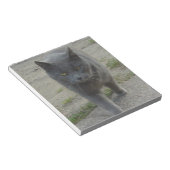 Katten Notitieblok (Schuin)