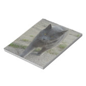 Katten Notitieblok (Gedraaid)