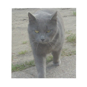 Katten Notitieblok