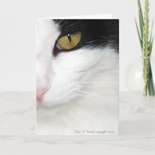 Katten Oog Kaart (Voorkant)