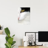 Katten Oog Poster (Thuiskantoor)