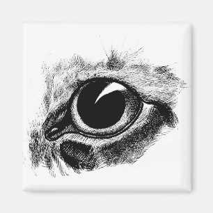 Katten Oogtekening tekening Kunstillustratie Magneet