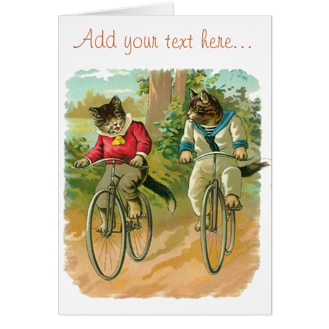  katten op de fiets (Voorkant)