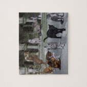 Katten op de Palace Stappen Legpuzzel (Verticaal)